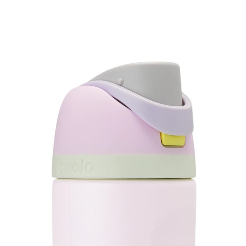 Owala 24oz FreeSip® Stainless Steel 水筒 ピンク | VJL1119QX