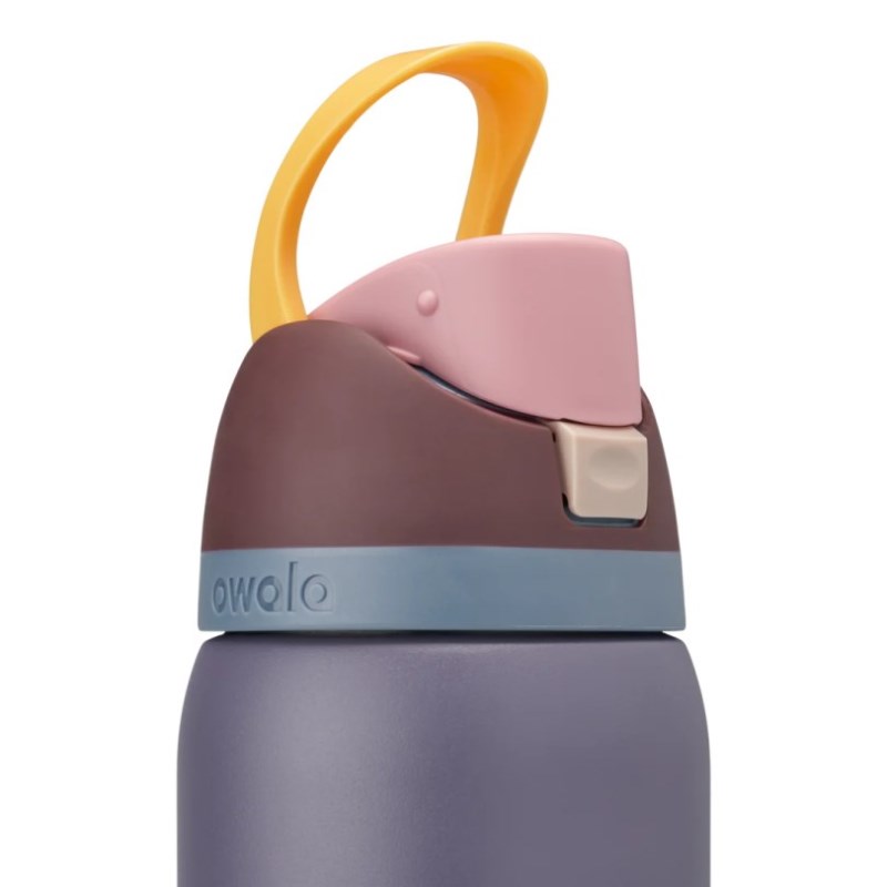 Owala 32oz FreeSip® Stainless Steel 水筒 暗青 | SGU5390CB