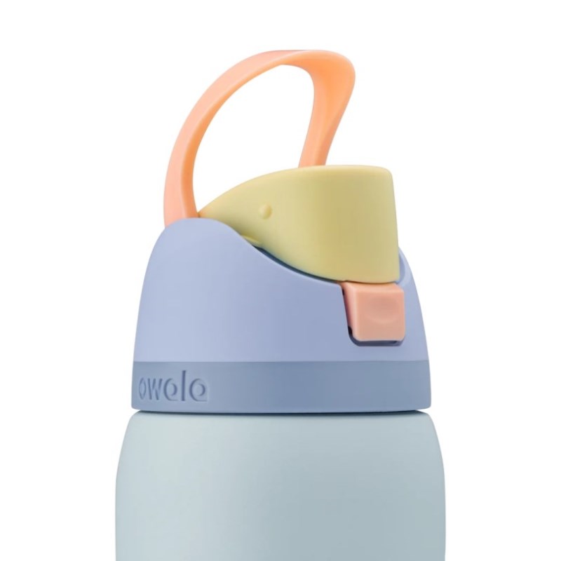 Owala 32oz FreeSip® Stainless Steel 水筒 青 | WVP5025IN