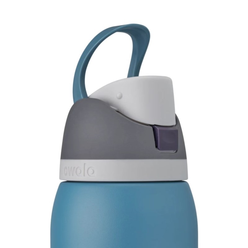 Owala 32oz FreeSip® Stainless Steel 水筒 青 | XIY8534IY